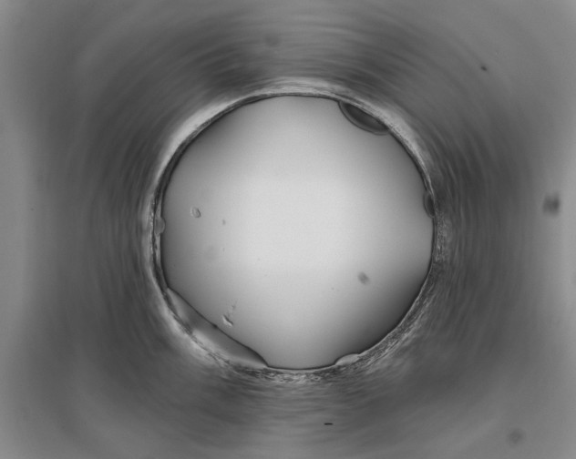 X0000096991003200802291205