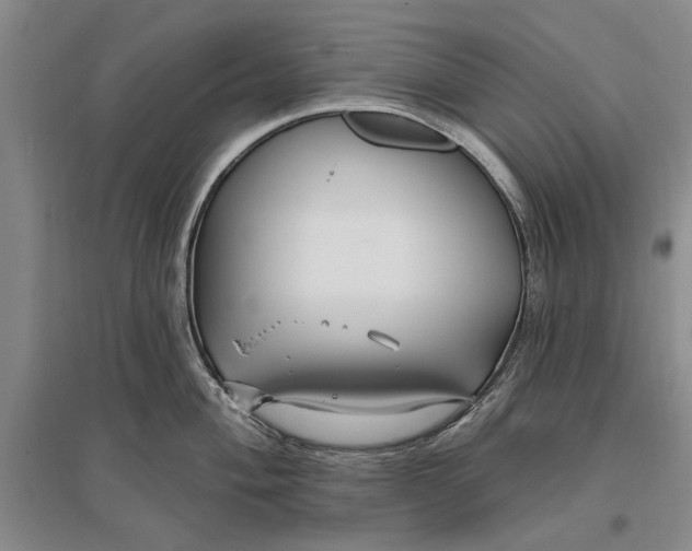 X0000096991004200802291205