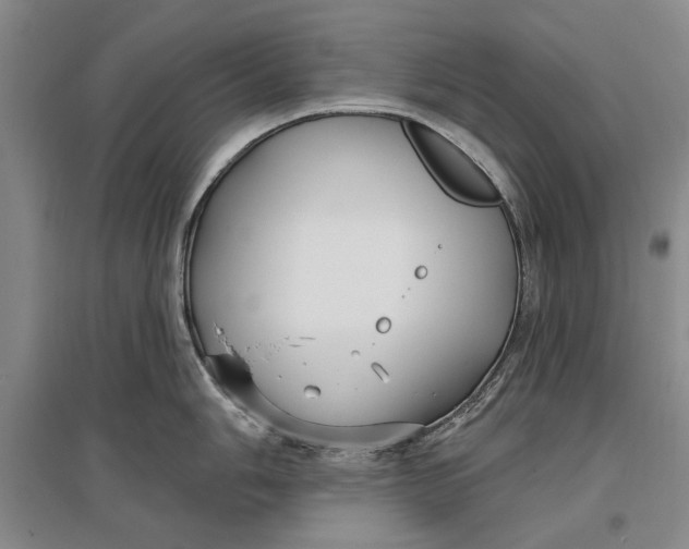 X0000096991006200802291205