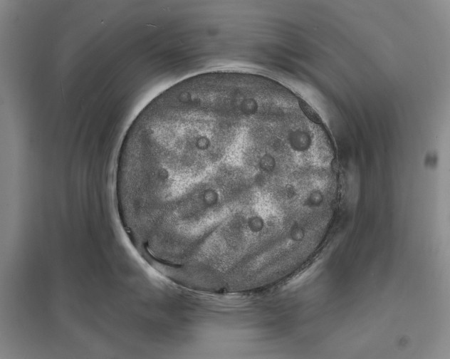 X0000096991007200802291205