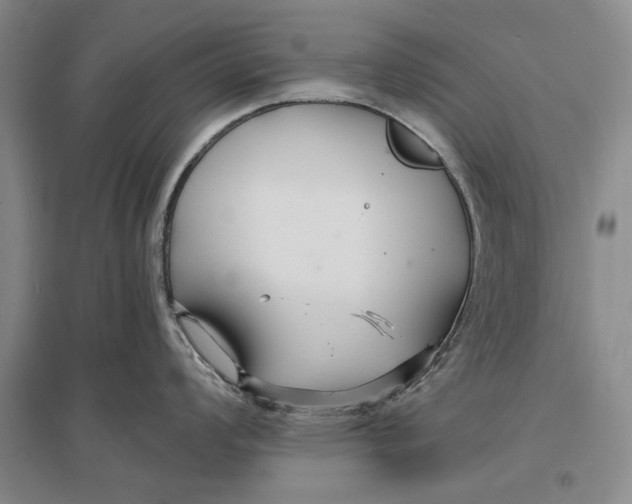 X0000096991008200802291205