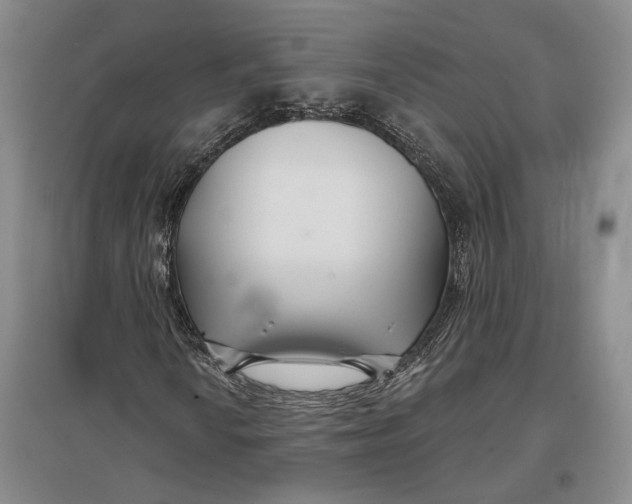 X0000096991010200802291204