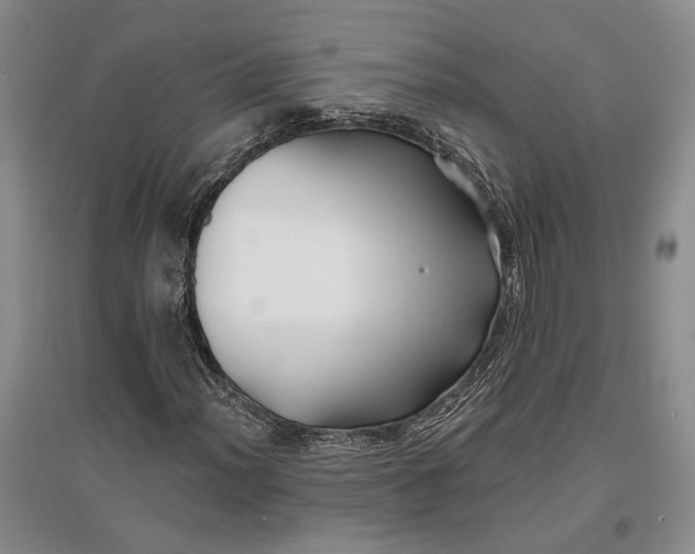 X0000096991012200802291204