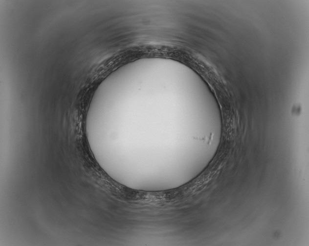 X0000096991013200802291204