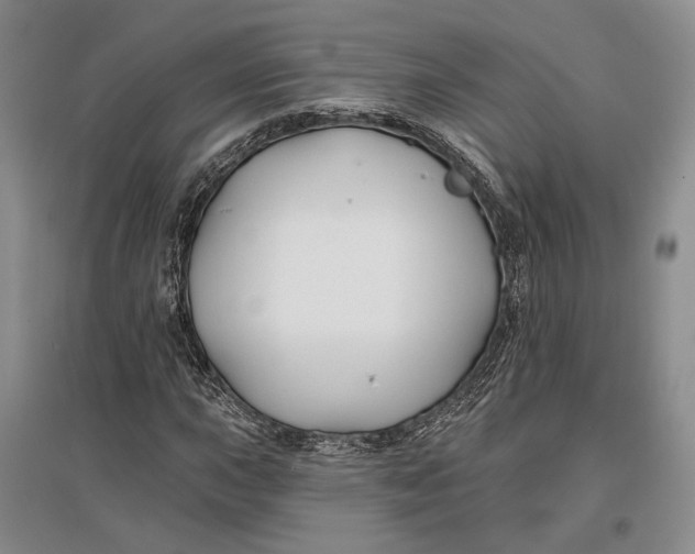 X0000096991015200802291204