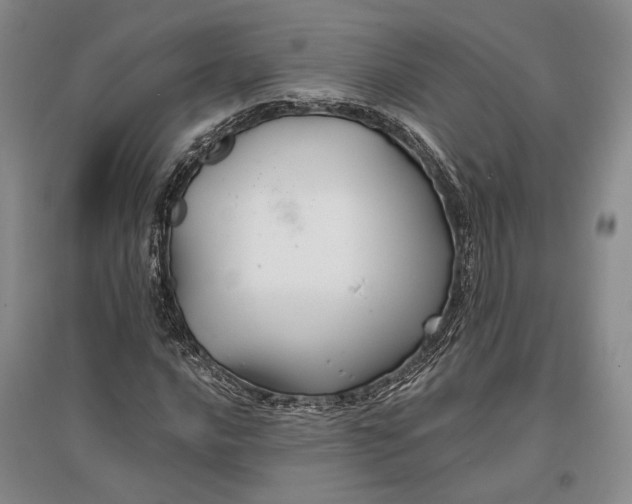 X0000096991016200802291204