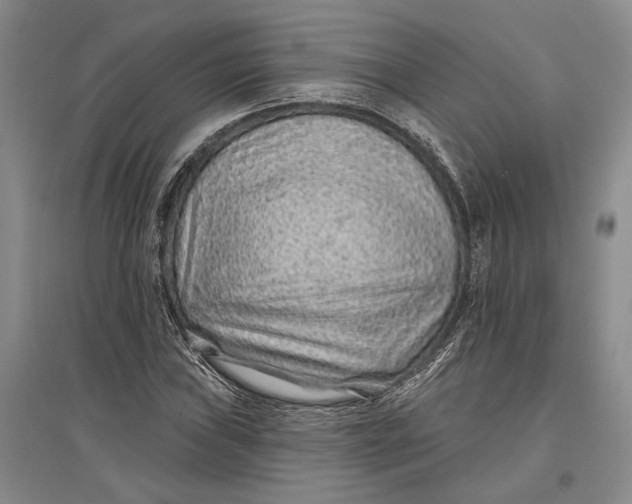 X0000096991019200802291204