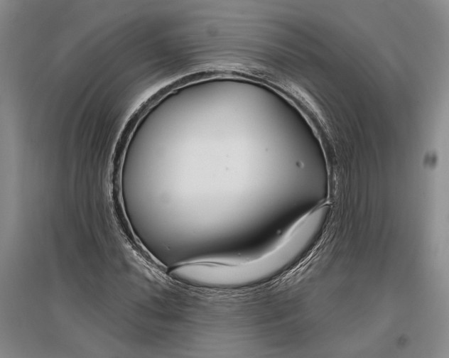 X0000096991020200802291204