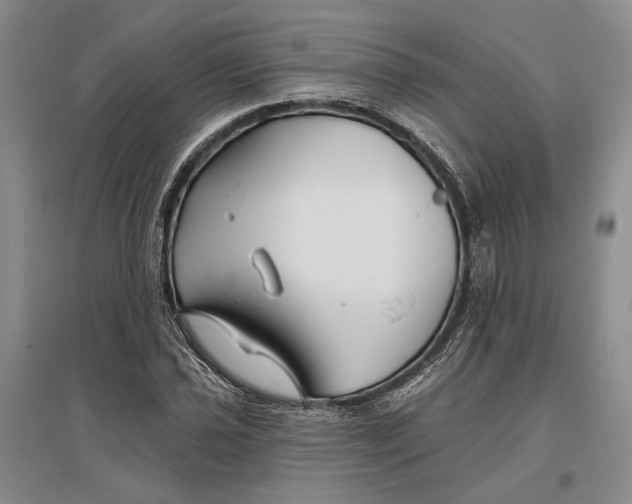 X0000096991021200802291204