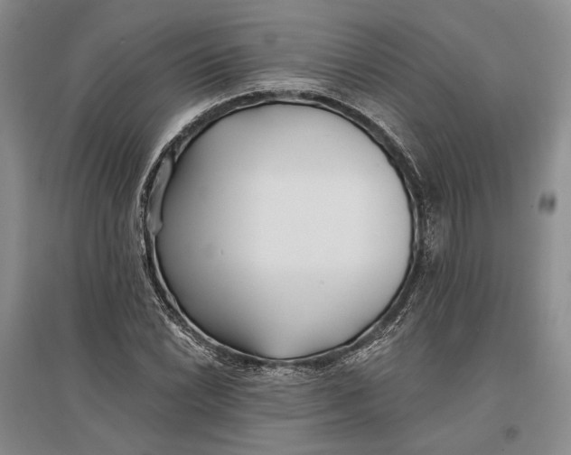 X0000096991022200802291204