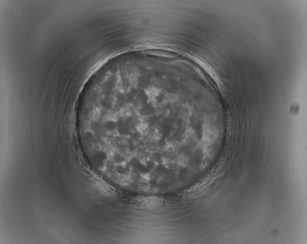 X0000096991023200802291204