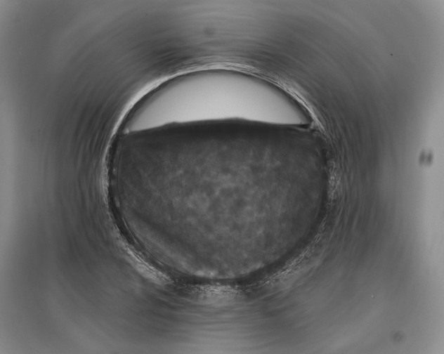 X0000096991024200802291204