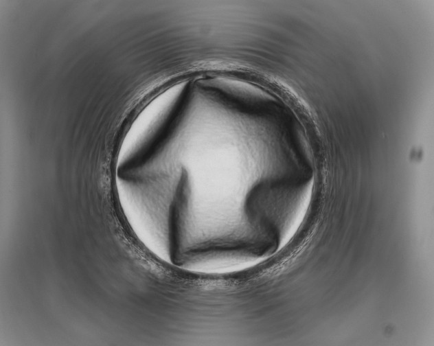 X0000096991025200802291204