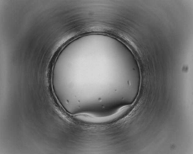 X0000096991026200802291204