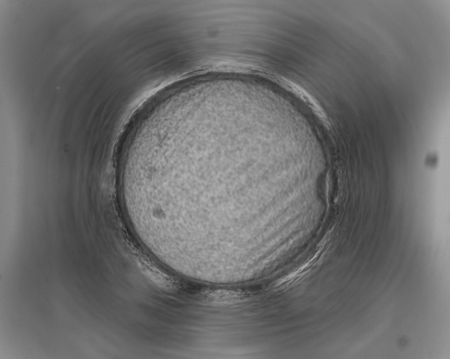 X0000096991027200802291204