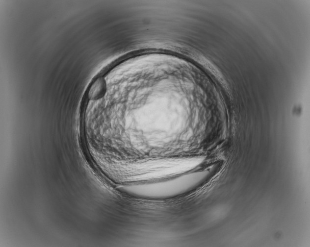 X0000096991028200802291204