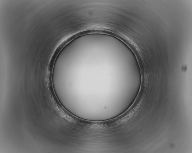 X0000096991029200802291204