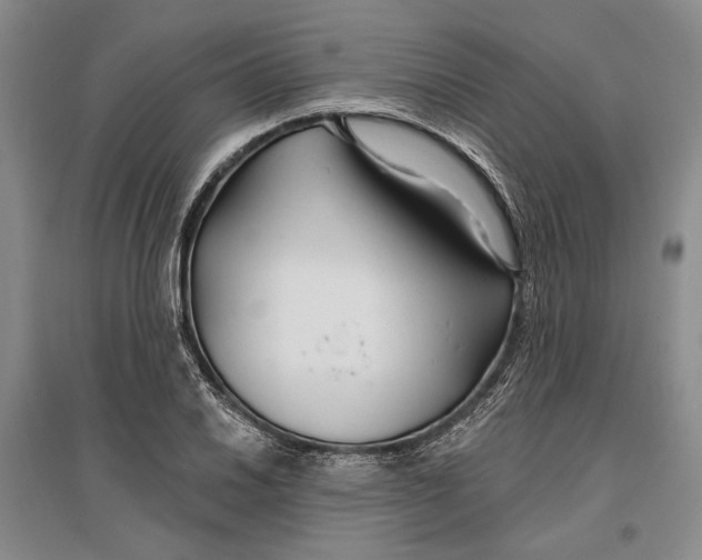 X0000096991030200802291204