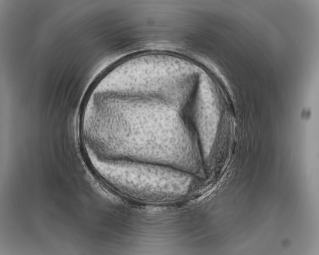 X0000096991032200802291204