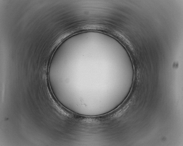 X0000096991033200802291204