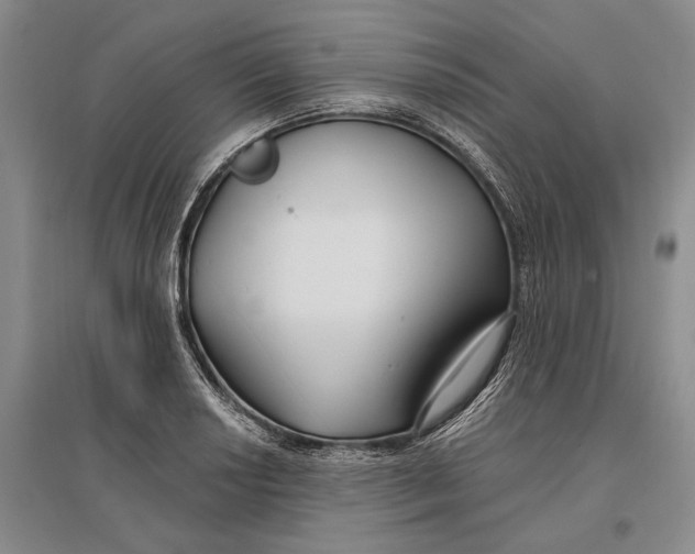 X0000096991034200802291204