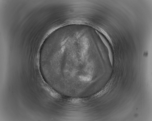 X0000096991035200802291204