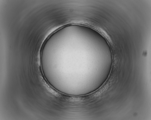 X0000096991036200802291204