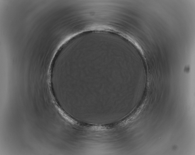 X0000096991037200802291204