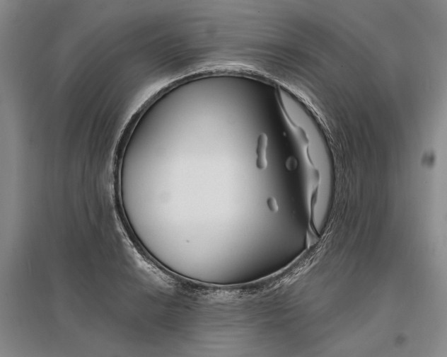 X0000096991038200802291204