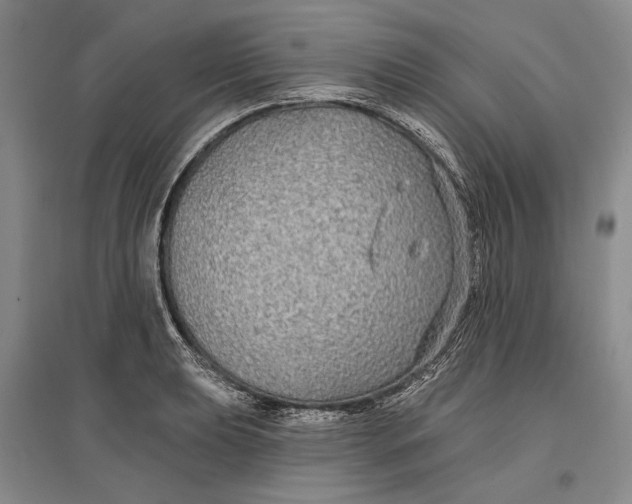 X0000096991039200802291204