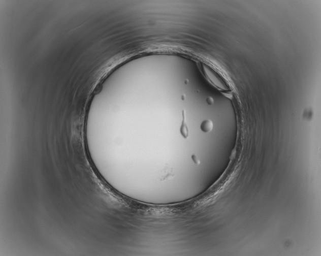 X0000096991041200802291204