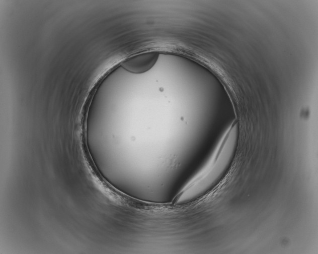 X0000096991042200802291204