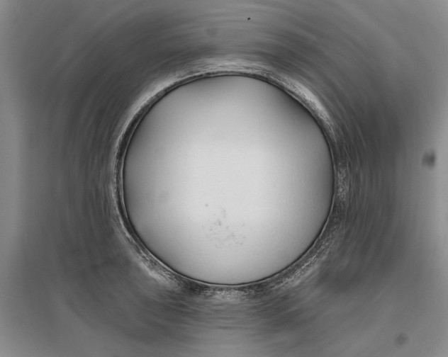 X0000096991043200802291204