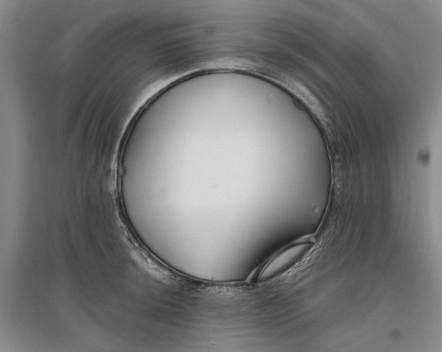 X0000096991044200802291204