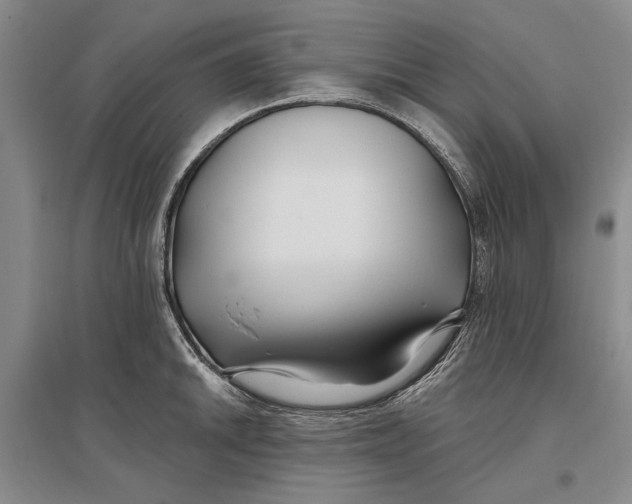 X0000096991046200802291204