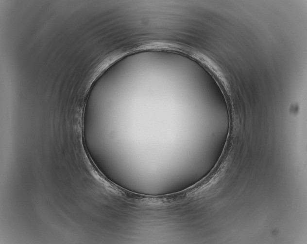 X0000096991049200802291204