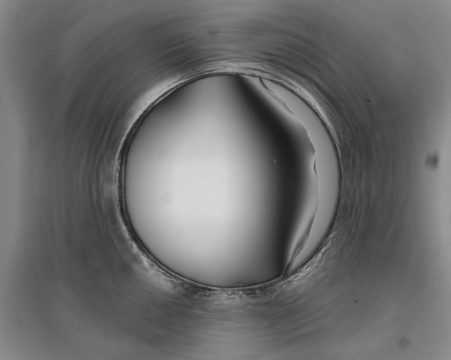 X0000096991050200802291204