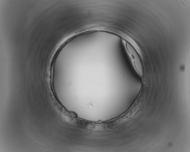 X0000096991051200802291204