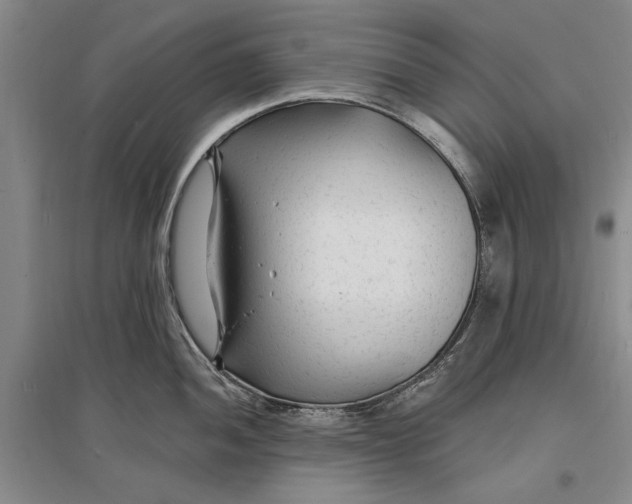 X0000096991052200802291204