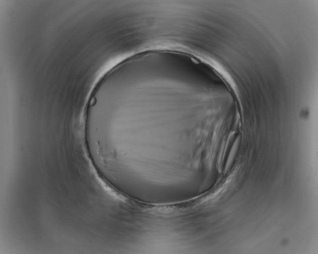 X0000096991053200802291204