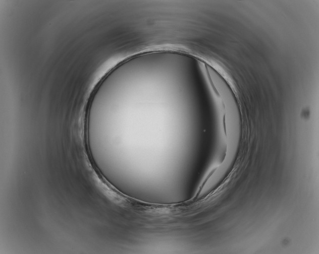 X0000096991054200802291204