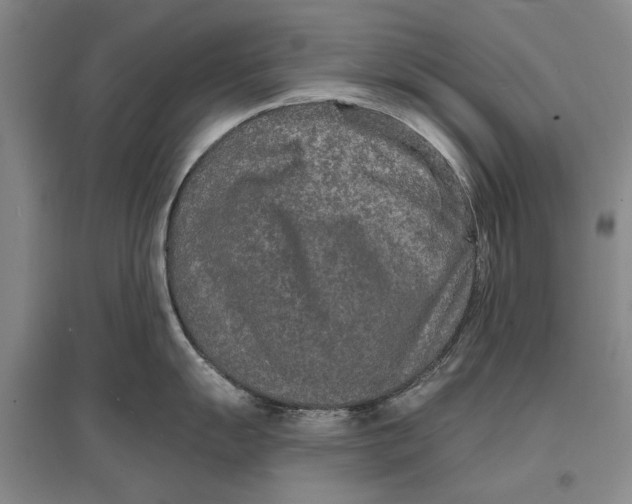 X0000096991055200802291204