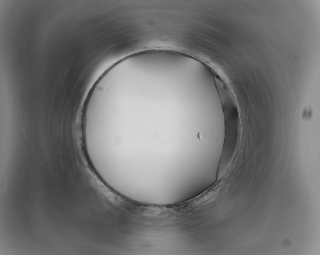 X0000096991056200802291205