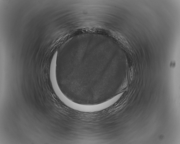 X0000096991060200802291204