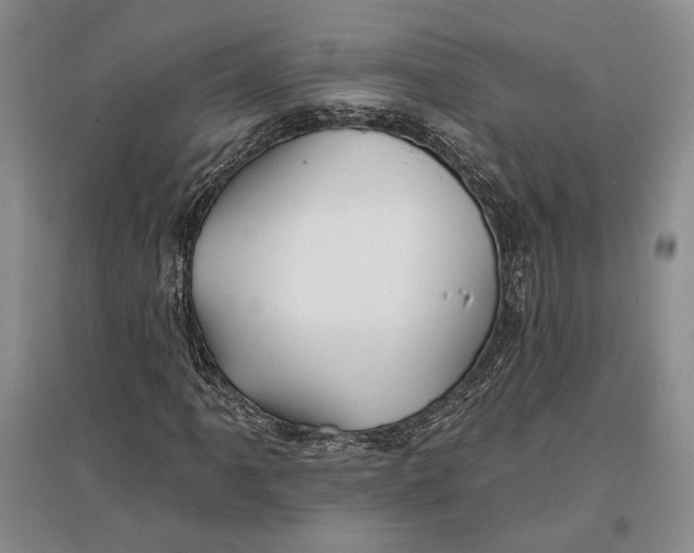 X0000096991061200802291204