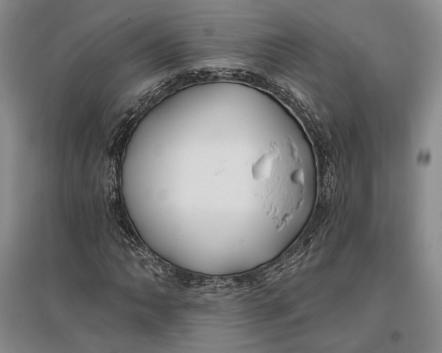 X0000096991062200802291204