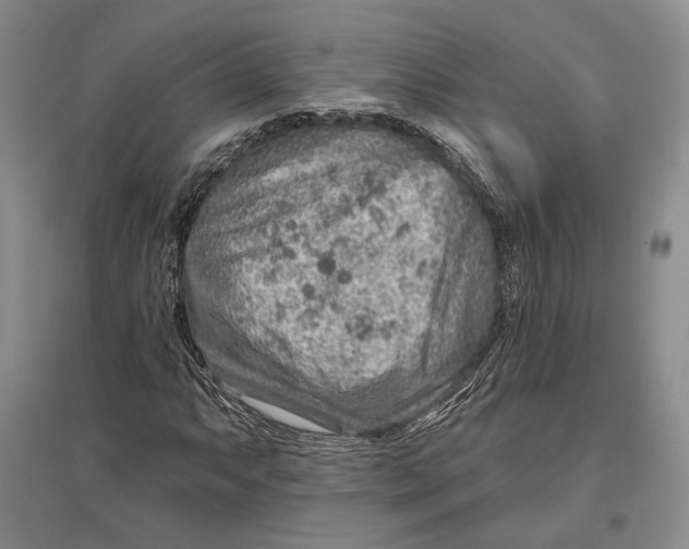 X0000096991063200802291204