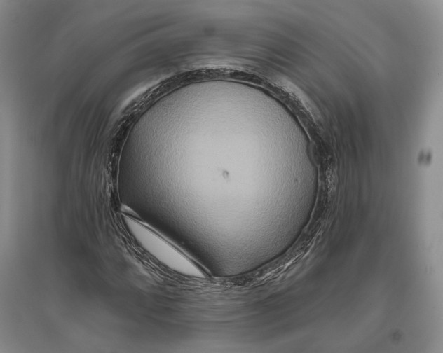 X0000096991064200802291204