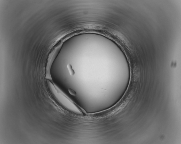 X0000096991065200802291204