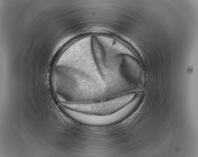 X0000096991066200802291204